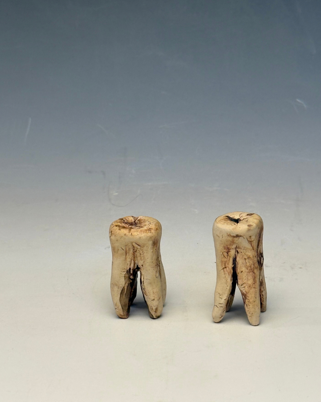 Ceramic Tooth Incense Burner | Handmade Molar Incense Holder