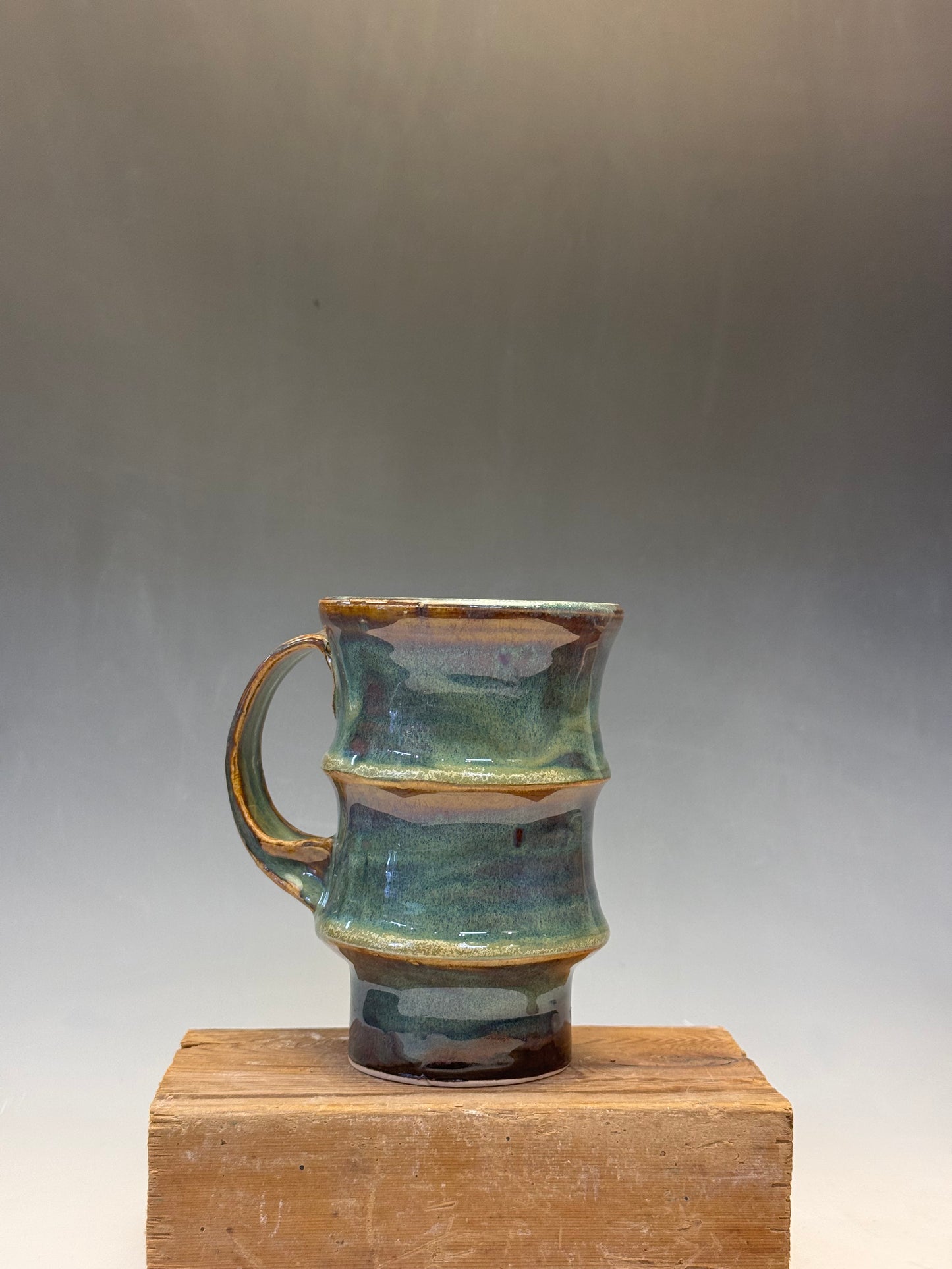 8 oz. Rainbow Vertebrae Mug