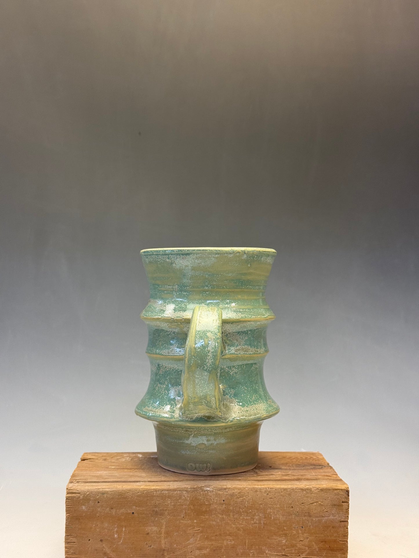 8 oz. Aventurine Vertebrae Mug