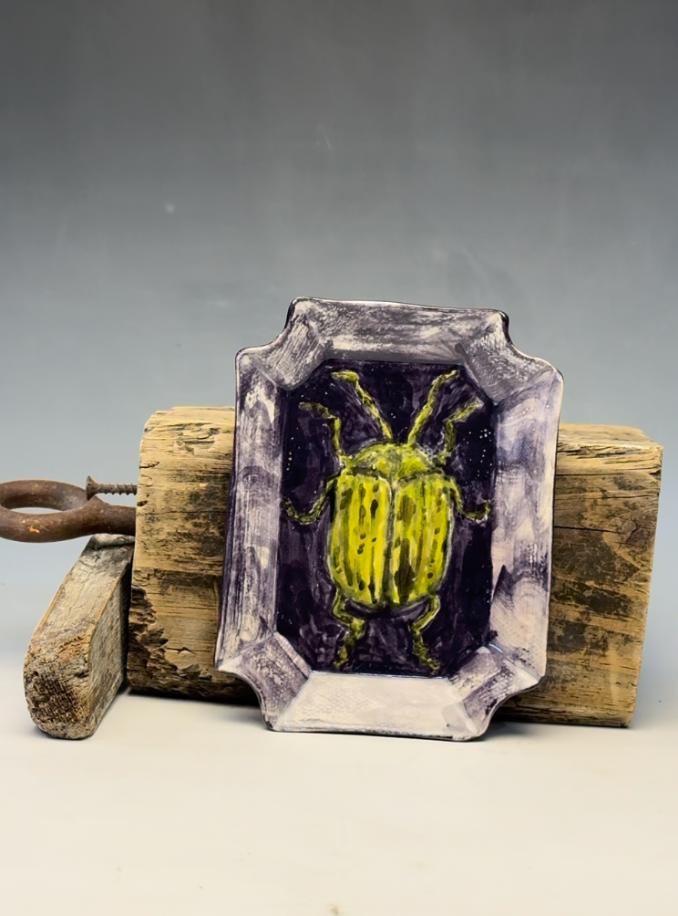 Beetle Plate | Hand-Painted Ceramic Decorative Plate