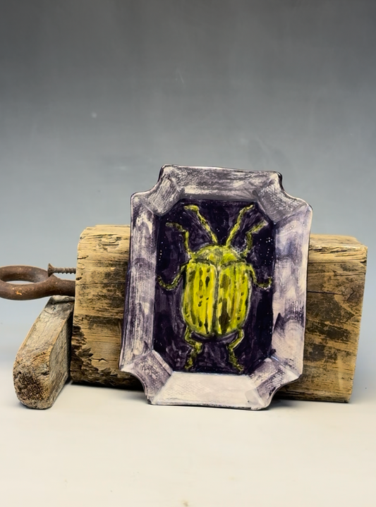 Beetle Plate | Hand-Painted Ceramic Decorative Plate